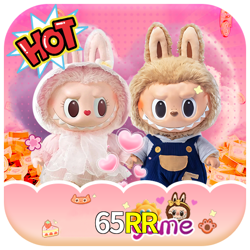 65RR App